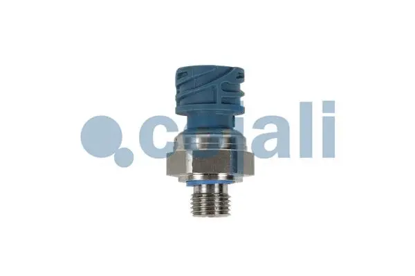 Sensor, fuel pressure (2260979)
