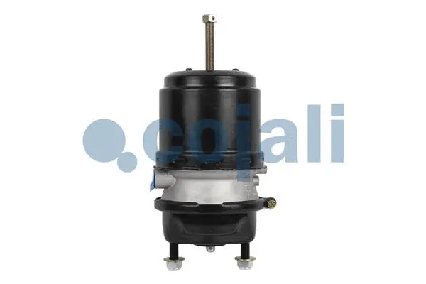 Spring-loaded Cylinder