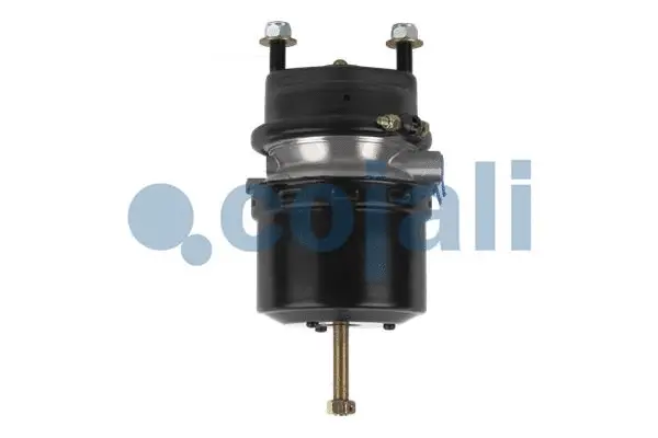 Spring-loaded Cylinder