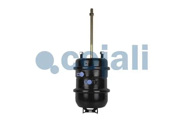 Multi-function Brake Cylinder (2251431)