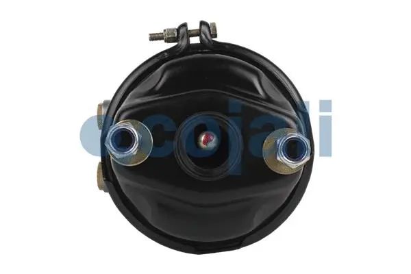 Spring-loaded Cylinder