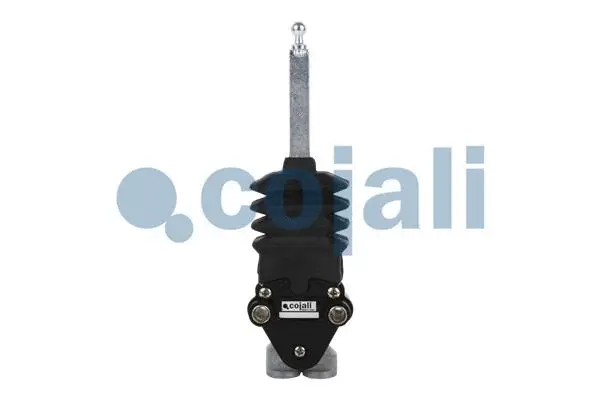 Air Suspension Valve (2214509)