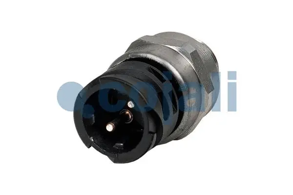 Sensor (2262079)