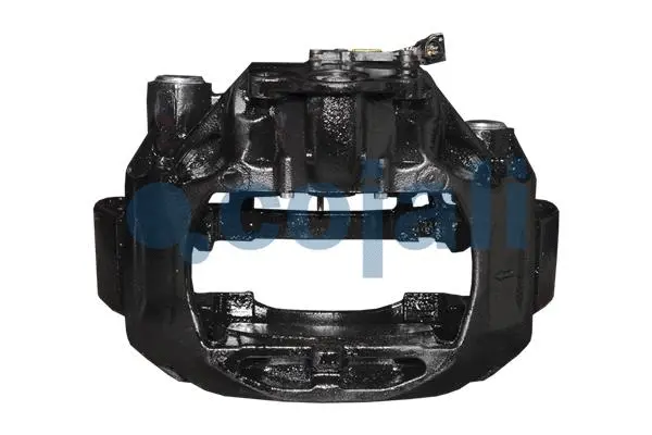 Brake Caliper (359298)