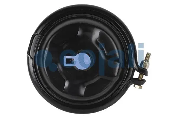 Diaphragm Brake Cylinder