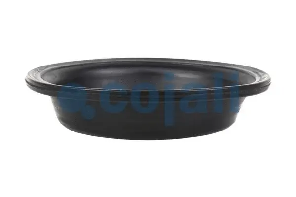 Membrane, spring-loaded cylinder (6001119)