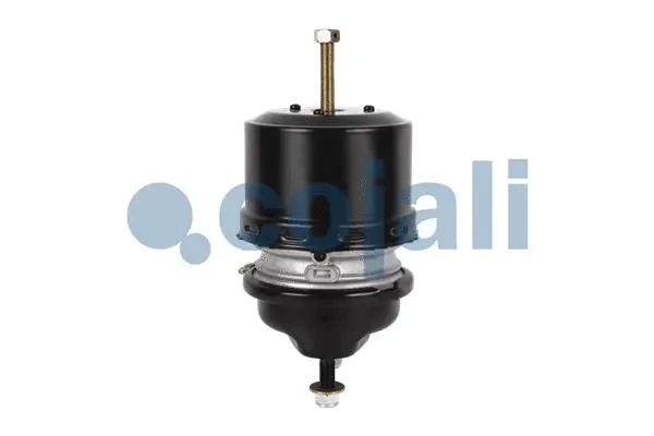 Spring-loaded Cylinder