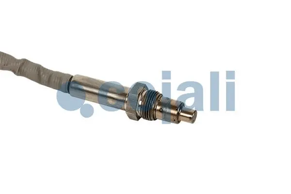 Exhaust Gas Analyzer