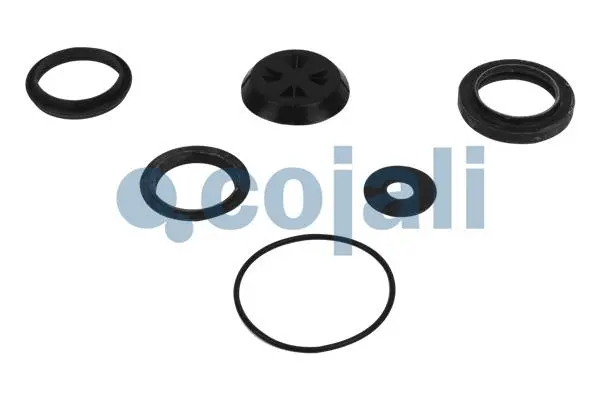 Repair Kit (6012182)