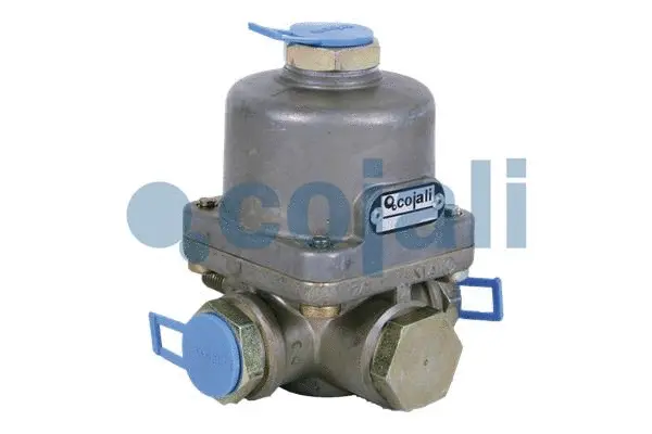 Adaptor Valve (2229204)