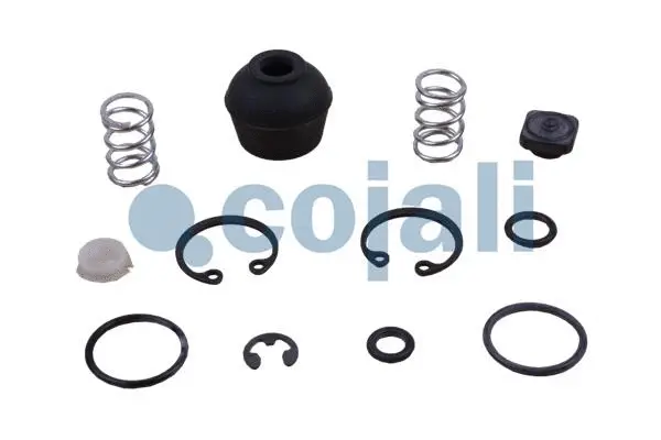 Repair Kit (6012088)
