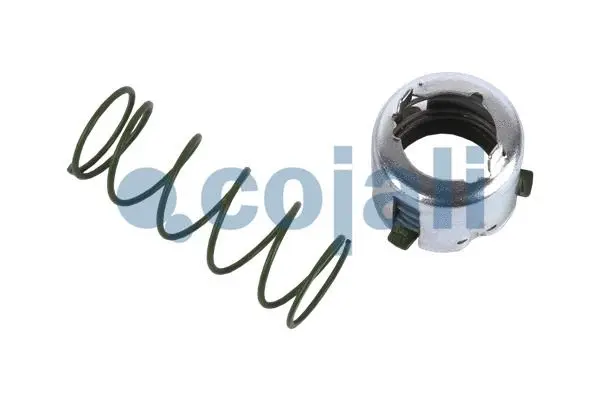 Repair Kit (6071011)