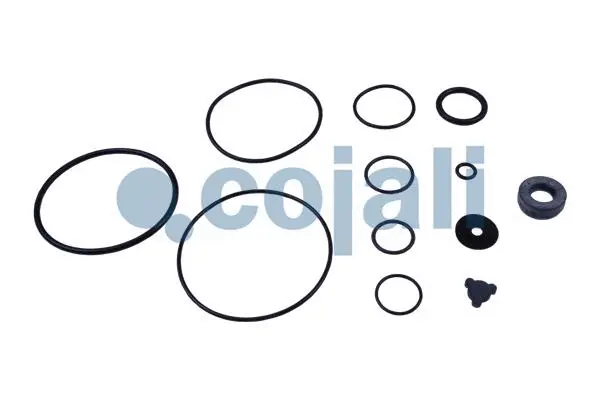 Repair Kit, relay valve (6012259)