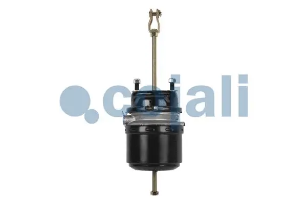 Spring-loaded Cylinder