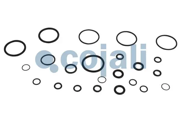 Repair Kit, air spring valve