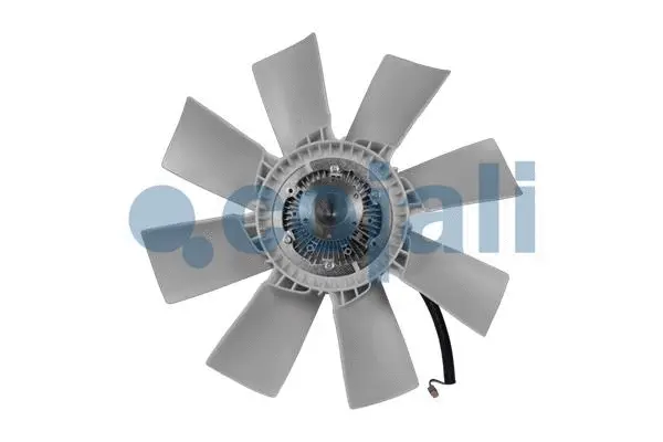 Fan, engine cooling