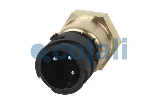Sensor, oil pressure (2260244)