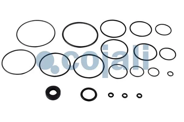 Repair Kit, relay valve (6012145)