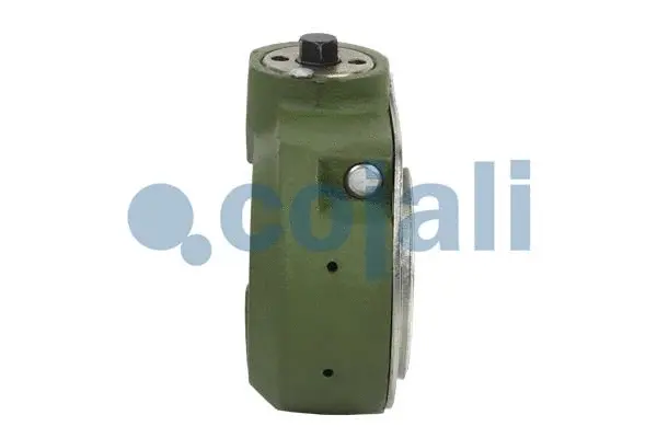 Adjuster, braking system
