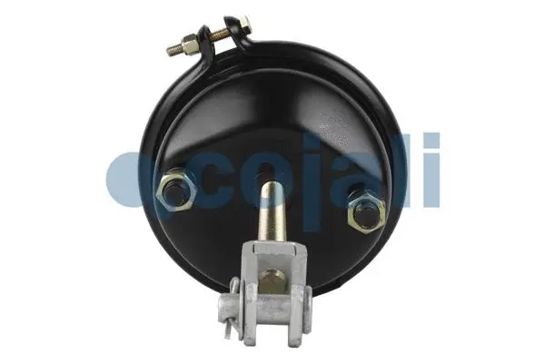 Diaphragm Brake Cylinder