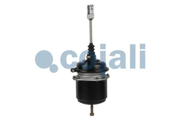 Spring-loaded Cylinder