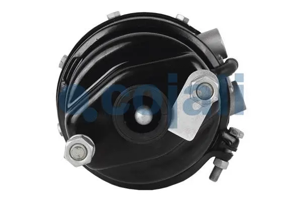 Spring-loaded Cylinder