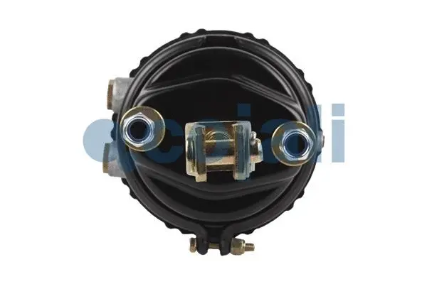 Spring-loaded Cylinder