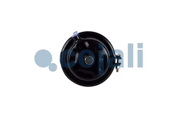 Diaphragm Brake Cylinder