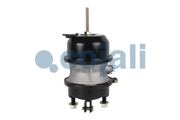 Multi-function Brake Cylinder