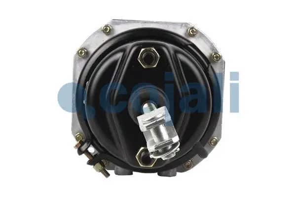 Spring-loaded Cylinder