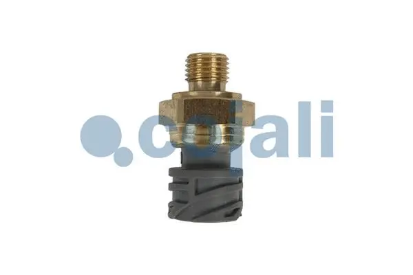 Sensor, oil pressure (2260929)