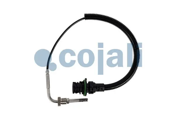 Sensor, exhaust gas temperature (2260897)