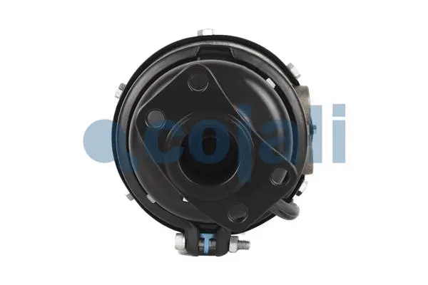 Spring-loaded Cylinder