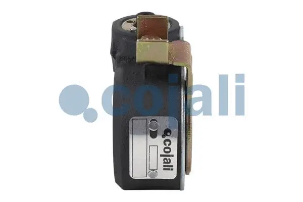 Adjuster, braking system