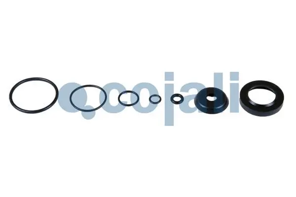 Repair Kit (6014416)