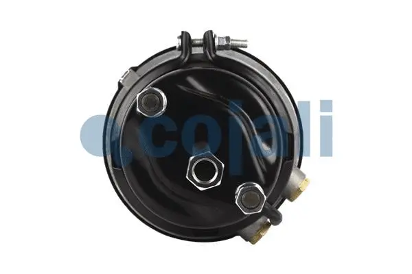 Spring-loaded Cylinder