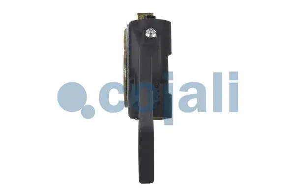 Adjuster, braking system