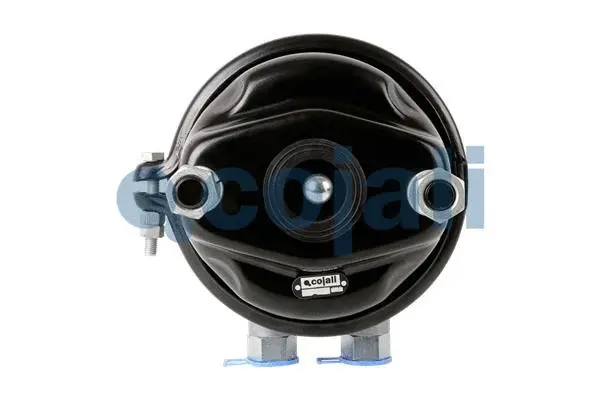 Spring-loaded Cylinder