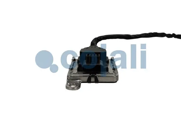 Exhaust Gas Analyzer