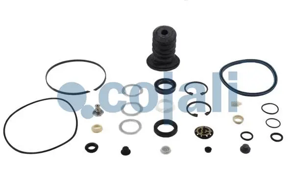 Repair Kit, clutch booster (6034020)