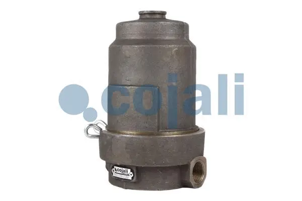 Air Filter, compressor (2204200)