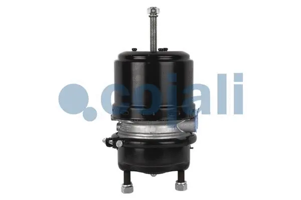 Spring-loaded Cylinder