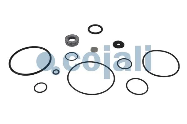 Repair Kit, relay valve (6012036)