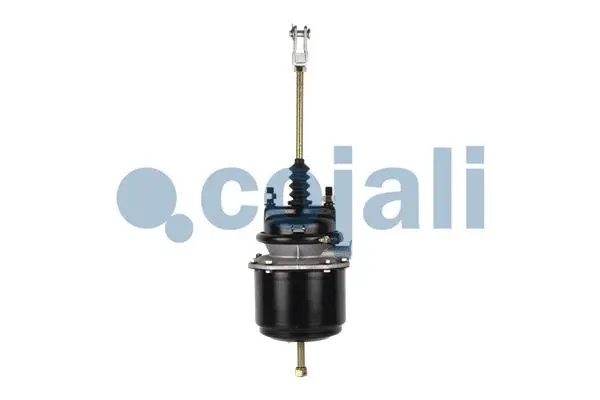 Spring-loaded Cylinder