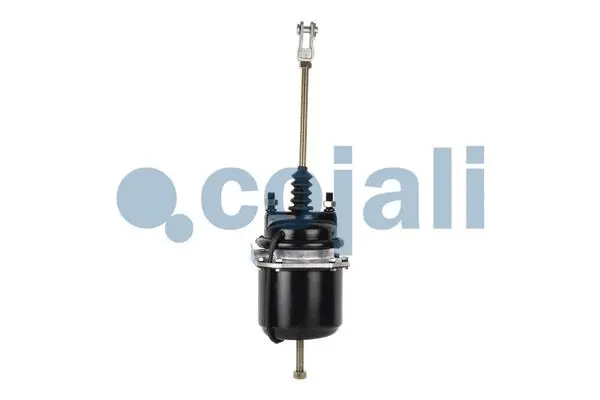 Spring-loaded Cylinder