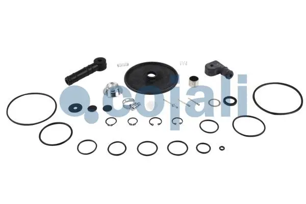 Repair Kit, brake force regulator (6012091)