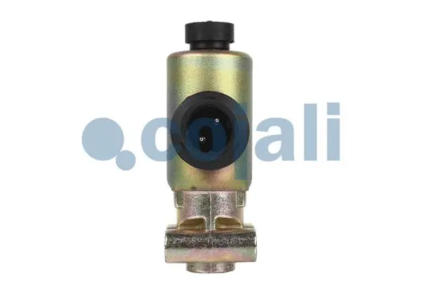 Solenoid Valve (2218206)