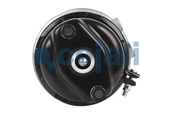 Spring-loaded Cylinder