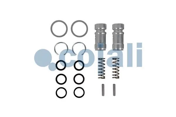 Repair kit, air compressor (25005035)
