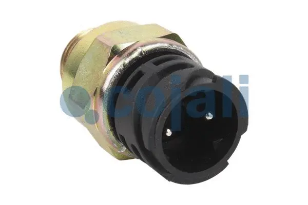 Control Switch (2260341)